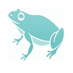 Cleverfrog Website Design