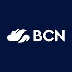 BCN Group Ltd