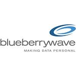Blueberry Wave logo