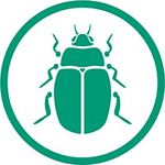 Beetle Green Ltd